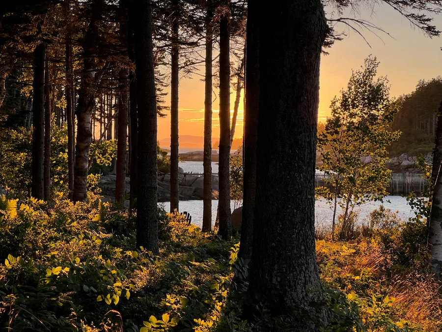 maine sunset landscape
